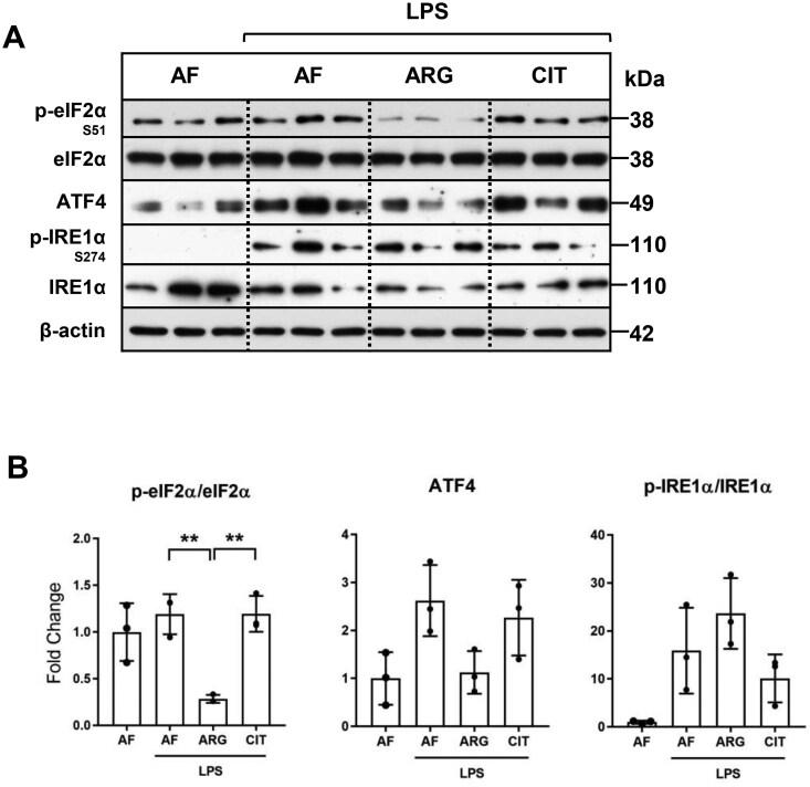 https://cdn.ncbi.nlm.nih.gov/pmc/blobs/b64f/12282984/f8d6f77b8317/vlaf028f5.jpg