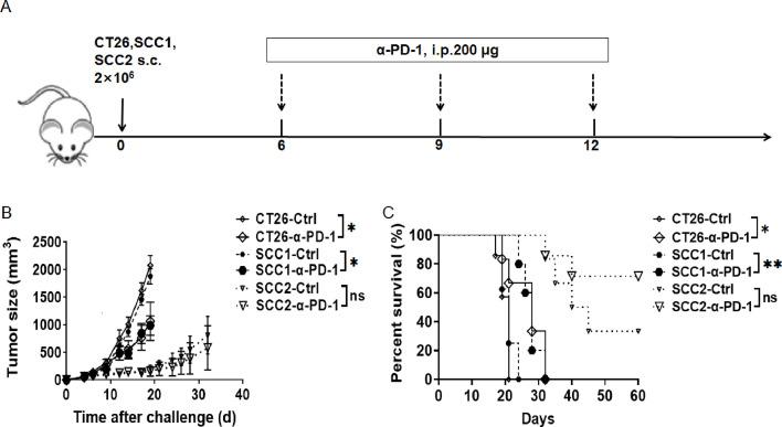 https://cdn.ncbi.nlm.nih.gov/pmc/blobs/b650/11209639/06af36e58b14/gr2.jpg