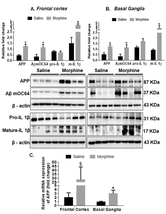 https://cdn.ncbi.nlm.nih.gov/pmc/blobs/b650/8407877/4a39425de69e/ad-12-6-1389-g1.jpg