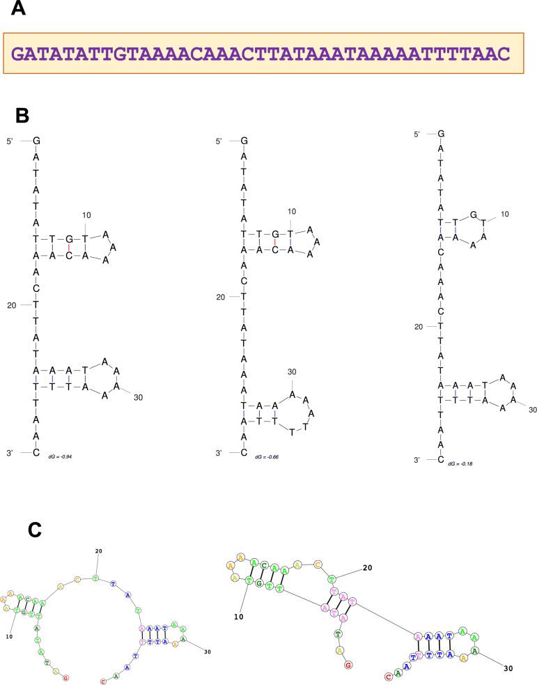 https://cdn.ncbi.nlm.nih.gov/pmc/blobs/b653/12206365/ad5b99cef748/40246_2025_785_Fig3_HTML.jpg