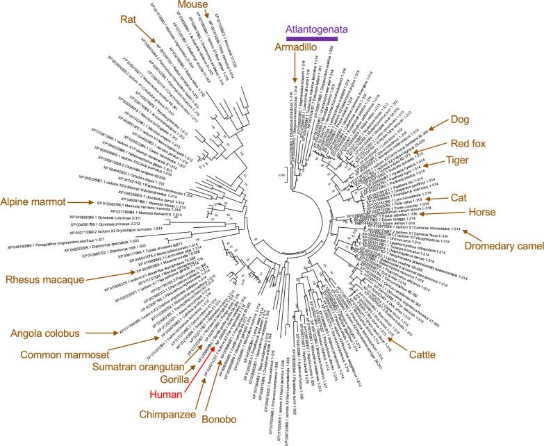 https://cdn.ncbi.nlm.nih.gov/pmc/blobs/b653/12206365/bbcd6addd75e/40246_2025_785_Fig2_HTML.jpg