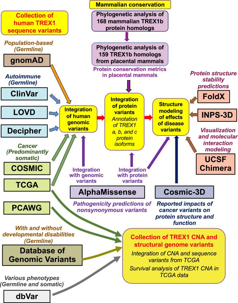 https://cdn.ncbi.nlm.nih.gov/pmc/blobs/b653/12206365/cc2ba2447b80/40246_2025_785_Fig1_HTML.jpg