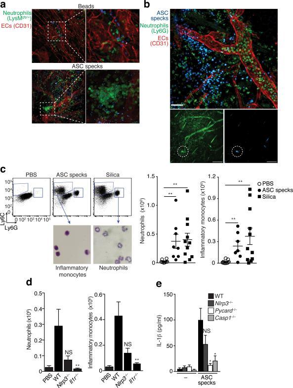 https://cdn.ncbi.nlm.nih.gov/pmc/blobs/b655/4116676/820385c7b8fb/nihms-592129-f0005.jpg