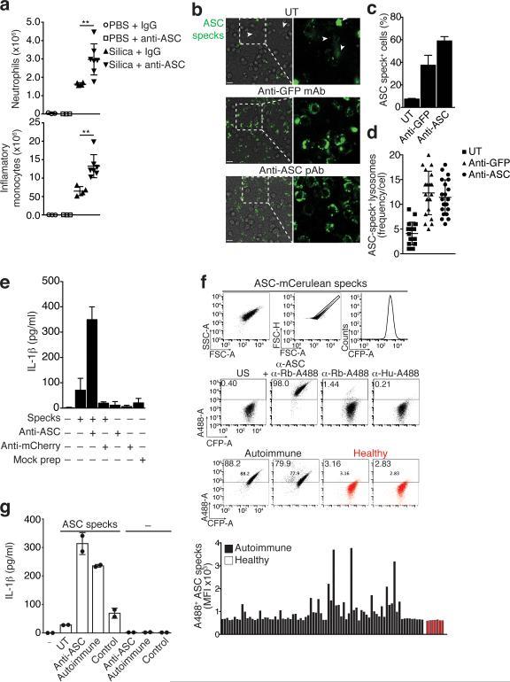 https://cdn.ncbi.nlm.nih.gov/pmc/blobs/b655/4116676/a215a6ec507c/nihms-592129-f0007.jpg