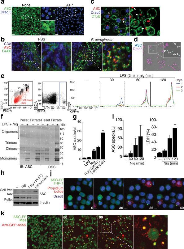 https://cdn.ncbi.nlm.nih.gov/pmc/blobs/b655/4116676/ebf7b757f2d4/nihms-592129-f0001.jpg