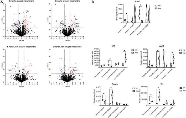 https://cdn.ncbi.nlm.nih.gov/pmc/blobs/b656/8960727/febfe00a2a14/fnmol-15-852368-g005.jpg