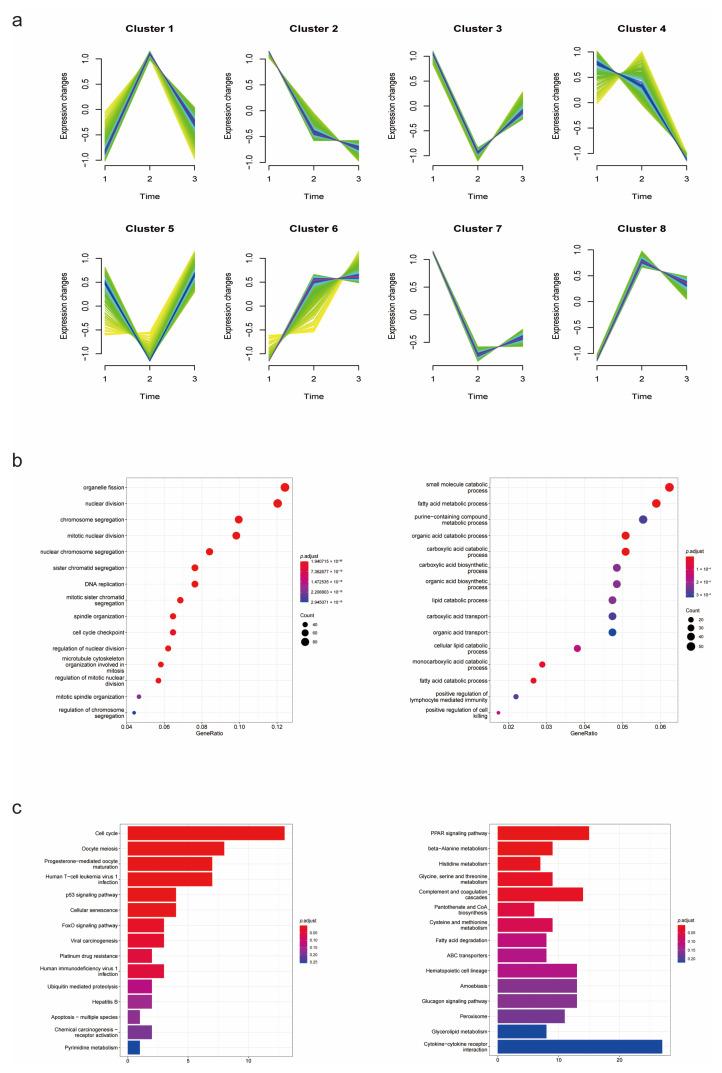 https://cdn.ncbi.nlm.nih.gov/pmc/blobs/b656/9855755/b286e8bd94a3/biomolecules-13-00141-g003.jpg