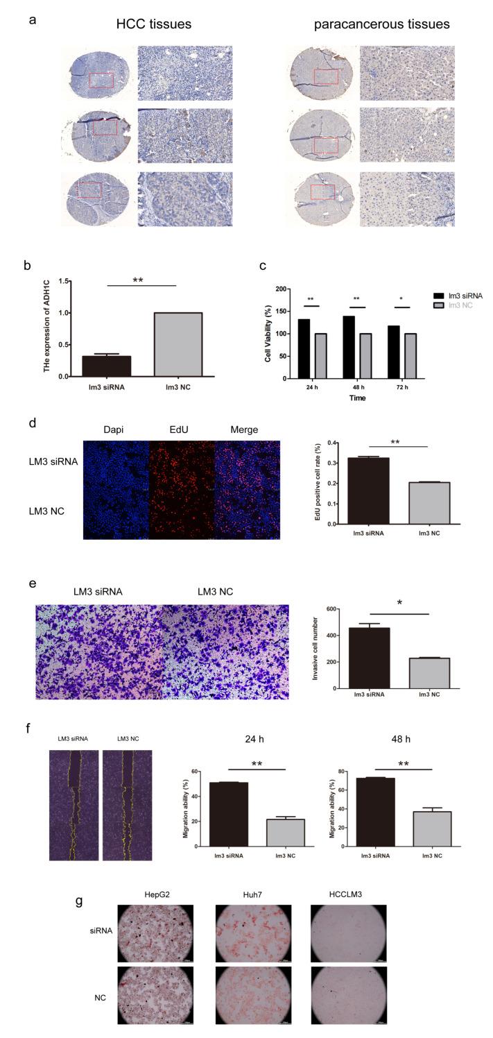 https://cdn.ncbi.nlm.nih.gov/pmc/blobs/b656/9855755/c25d73b206cb/biomolecules-13-00141-g009.jpg