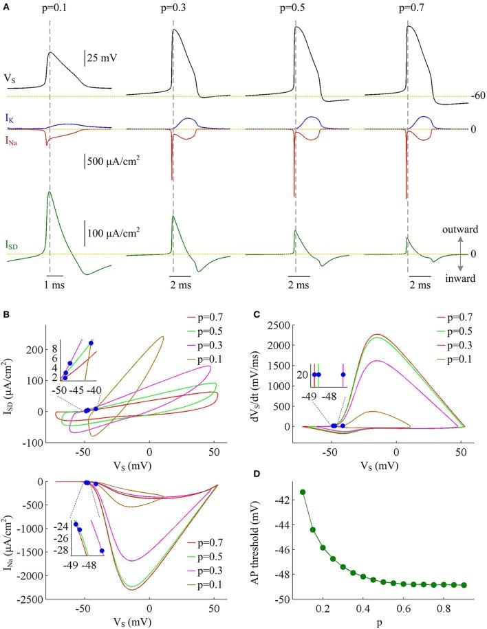https://cdn.ncbi.nlm.nih.gov/pmc/blobs/b65d/5585200/e3fd7ef29143/fncel-11-00265-g0002.jpg