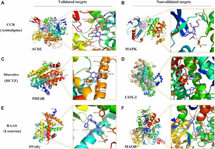 https://cdn.ncbi.nlm.nih.gov/pmc/blobs/b65d/6205113/a39532051f7d/gr5.jpg