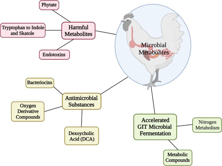https://cdn.ncbi.nlm.nih.gov/pmc/blobs/b65d/9079343/ecd4bf756891/gr2.jpg