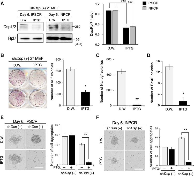 https://cdn.ncbi.nlm.nih.gov/pmc/blobs/b65e/9616504/5955fcea32eb/sciadv.abk1239-f3.jpg