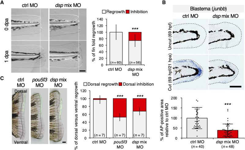 https://cdn.ncbi.nlm.nih.gov/pmc/blobs/b65e/9616504/d811b4f3918c/sciadv.abk1239-f7.jpg