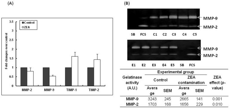 https://cdn.ncbi.nlm.nih.gov/pmc/blobs/b65f/4444191/75854d64c63c/pone.0127503.g005.jpg