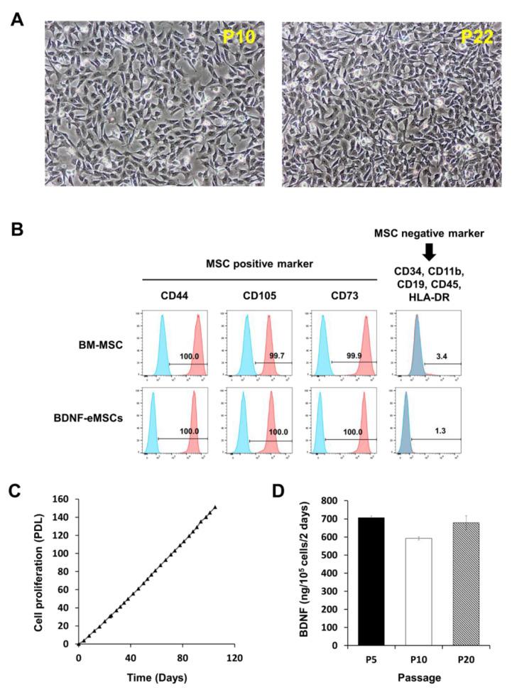 https://cdn.ncbi.nlm.nih.gov/pmc/blobs/b65f/8583727/07133f8c6ecc/ijms-22-11395-g001.jpg