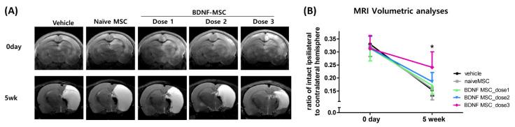 https://cdn.ncbi.nlm.nih.gov/pmc/blobs/b65f/8583727/3ece74e94d59/ijms-22-11395-g005.jpg