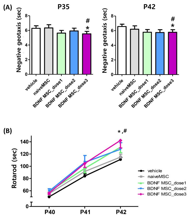 https://cdn.ncbi.nlm.nih.gov/pmc/blobs/b65f/8583727/cd0c2d0edc38/ijms-22-11395-g007.jpg