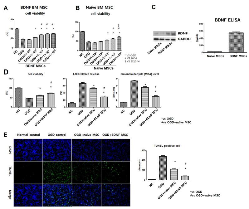 https://cdn.ncbi.nlm.nih.gov/pmc/blobs/b65f/8583727/dc9867a8ce6a/ijms-22-11395-g002.jpg