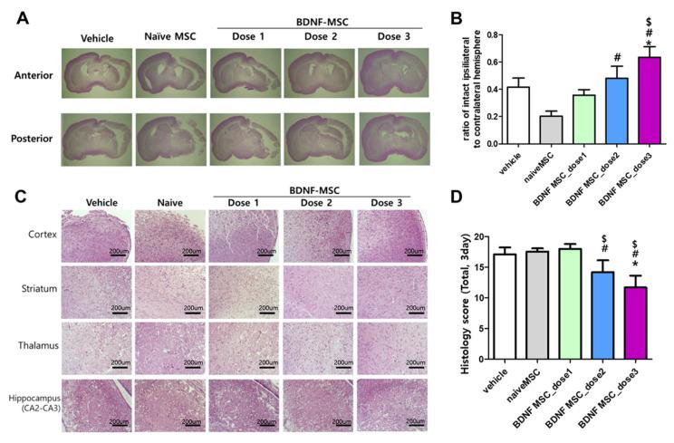 https://cdn.ncbi.nlm.nih.gov/pmc/blobs/b65f/8583727/e4cd1f4ffbc6/ijms-22-11395-g003.jpg