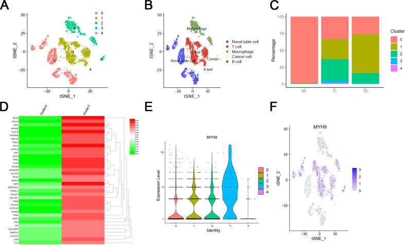 https://cdn.ncbi.nlm.nih.gov/pmc/blobs/b65f/8941107/227613c20c42/41420_2022_933_Fig1_HTML.jpg