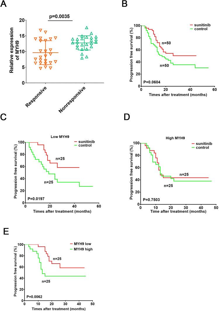 https://cdn.ncbi.nlm.nih.gov/pmc/blobs/b65f/8941107/28efdf9f430b/41420_2022_933_Fig8_HTML.jpg