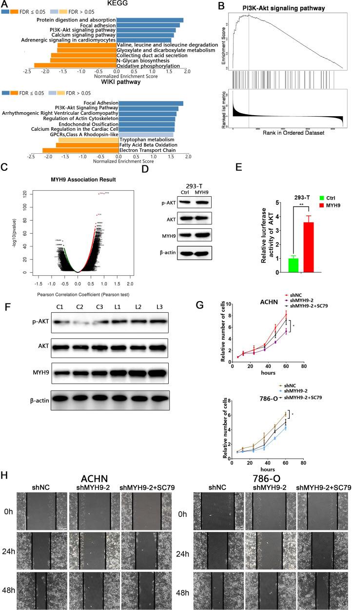 https://cdn.ncbi.nlm.nih.gov/pmc/blobs/b65f/8941107/2c9776ab87b0/41420_2022_933_Fig6_HTML.jpg