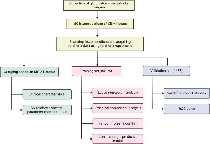 https://cdn.ncbi.nlm.nih.gov/pmc/blobs/b662/12117072/086595fe19a8/41598_2025_3161_Fig2_HTML.jpg