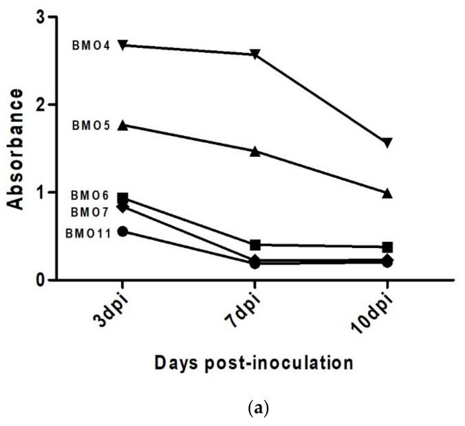 https://cdn.ncbi.nlm.nih.gov/pmc/blobs/b662/8071557/1b7e0192deea/animals-11-01137-g004a.jpg