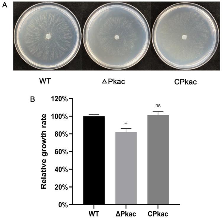 https://cdn.ncbi.nlm.nih.gov/pmc/blobs/b662/9502917/b8212d5927a0/life-12-01336-g004.jpg