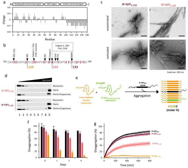 https://cdn.ncbi.nlm.nih.gov/pmc/blobs/b663/8657883/ff9840bd6e5b/ijms-22-12983-g003.jpg