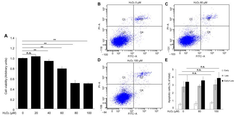 https://cdn.ncbi.nlm.nih.gov/pmc/blobs/b663/9861460/b8657a582031/ijms-24-01582-g002.jpg
