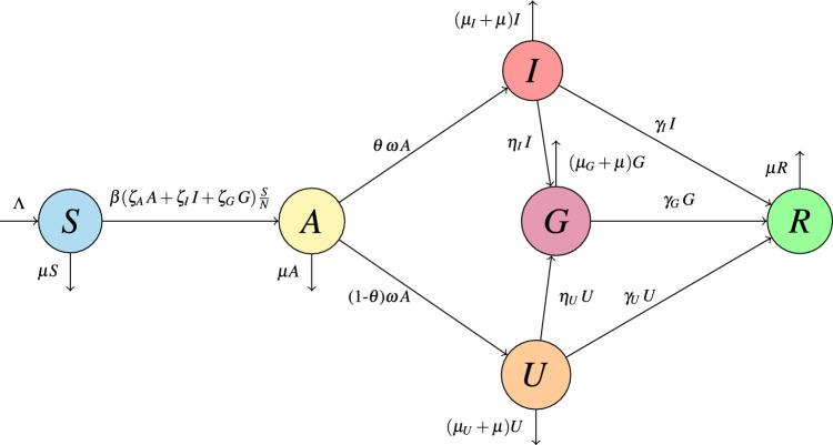 https://cdn.ncbi.nlm.nih.gov/pmc/blobs/b664/11436938/2845262dc528/41598_2024_72487_Fig1_HTML.jpg