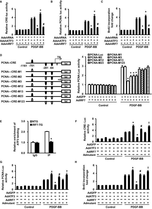 https://cdn.ncbi.nlm.nih.gov/pmc/blobs/b665/4323813/f9568cbc56bc/jah3-3-e001309-g6.jpg