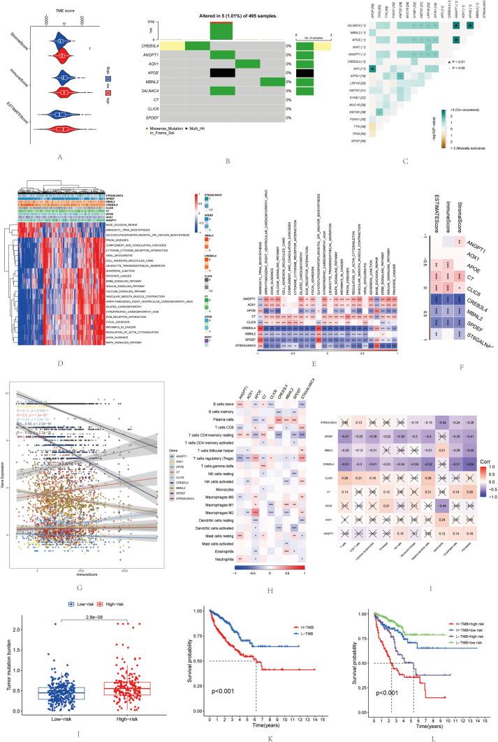 https://cdn.ncbi.nlm.nih.gov/pmc/blobs/b666/10992528/77878131187c/262_2024_3633_Fig5_HTML.jpg