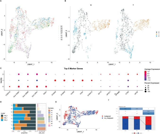 https://cdn.ncbi.nlm.nih.gov/pmc/blobs/b666/10992528/7ef11988c127/262_2024_3633_Fig2_HTML.jpg