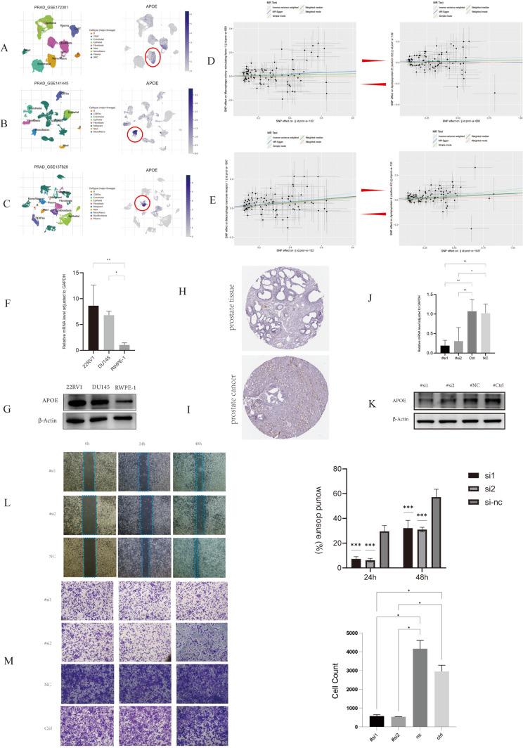 https://cdn.ncbi.nlm.nih.gov/pmc/blobs/b666/10992528/dc6bad2b467c/262_2024_3633_Fig6_HTML.jpg