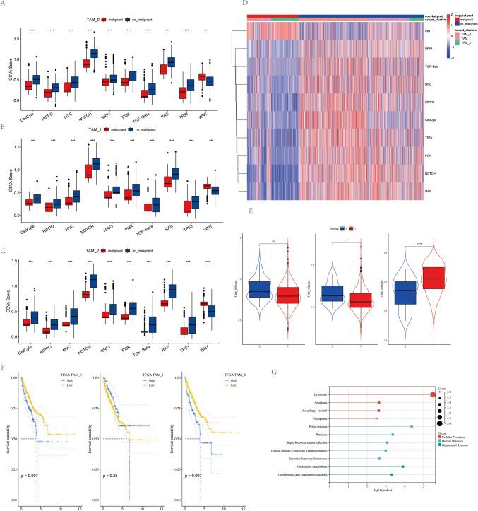 https://cdn.ncbi.nlm.nih.gov/pmc/blobs/b666/10992528/ef6d7f3c6258/262_2024_3633_Fig3_HTML.jpg
