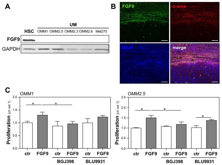 https://cdn.ncbi.nlm.nih.gov/pmc/blobs/b666/9569506/470d31e9ac36/ijms-23-11524-g004.jpg