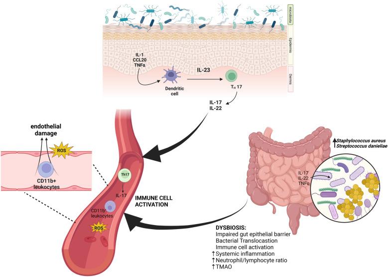 https://cdn.ncbi.nlm.nih.gov/pmc/blobs/b667/10799147/398ec3749578/10753_2023_1915_Fig2_HTML.jpg