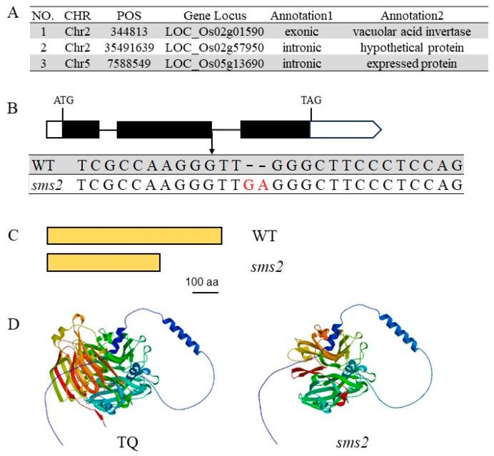 https://cdn.ncbi.nlm.nih.gov/pmc/blobs/b667/11085151/314b2ebbb56d/plants-13-01219-g003.jpg