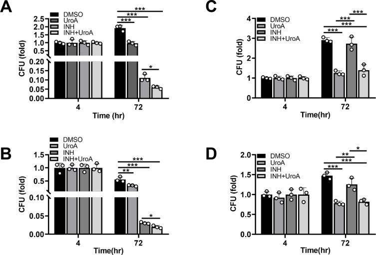 https://cdn.ncbi.nlm.nih.gov/pmc/blobs/b667/12108056/623c3495de74/msphere.00061-25.f008.jpg