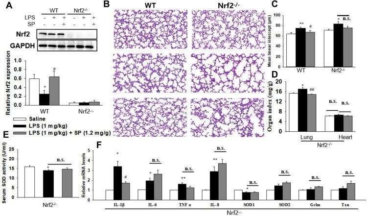 https://cdn.ncbi.nlm.nih.gov/pmc/blobs/b66e/7957230/1040c53ac7ea/JIR-14-803-g0003.jpg