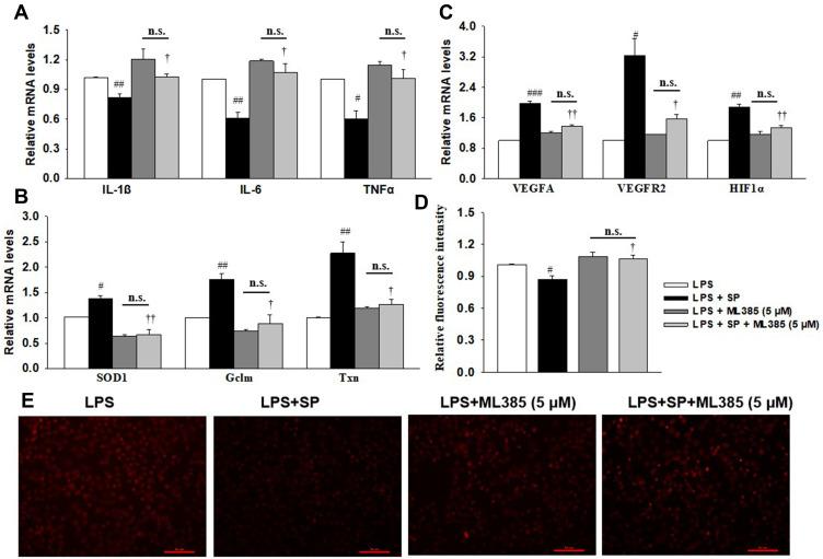 https://cdn.ncbi.nlm.nih.gov/pmc/blobs/b66e/7957230/10d8cd1f5c69/JIR-14-803-g0007.jpg