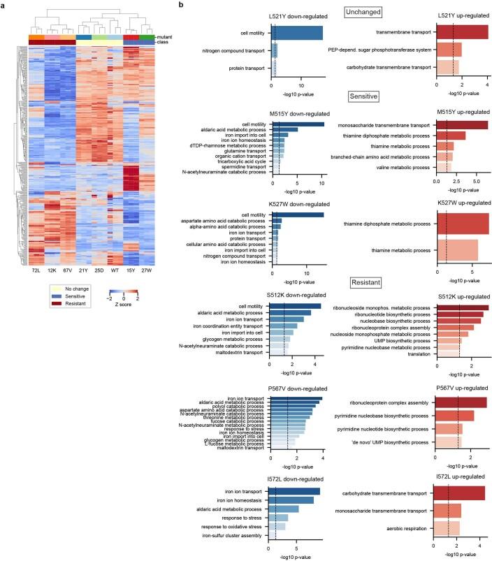 https://cdn.ncbi.nlm.nih.gov/pmc/blobs/b66f/10550828/dd4c3c21261e/41586_2023_6495_Fig13_ESM.jpg