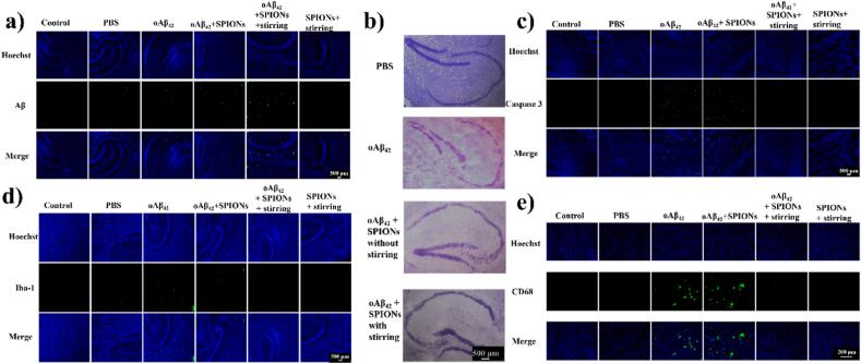 https://cdn.ncbi.nlm.nih.gov/pmc/blobs/b66f/11402446/5586163690cd/gr7.jpg