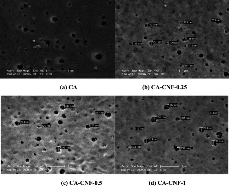 https://cdn.ncbi.nlm.nih.gov/pmc/blobs/b66f/11483397/89ae5b90bef6/ao4c03038_0002.jpg