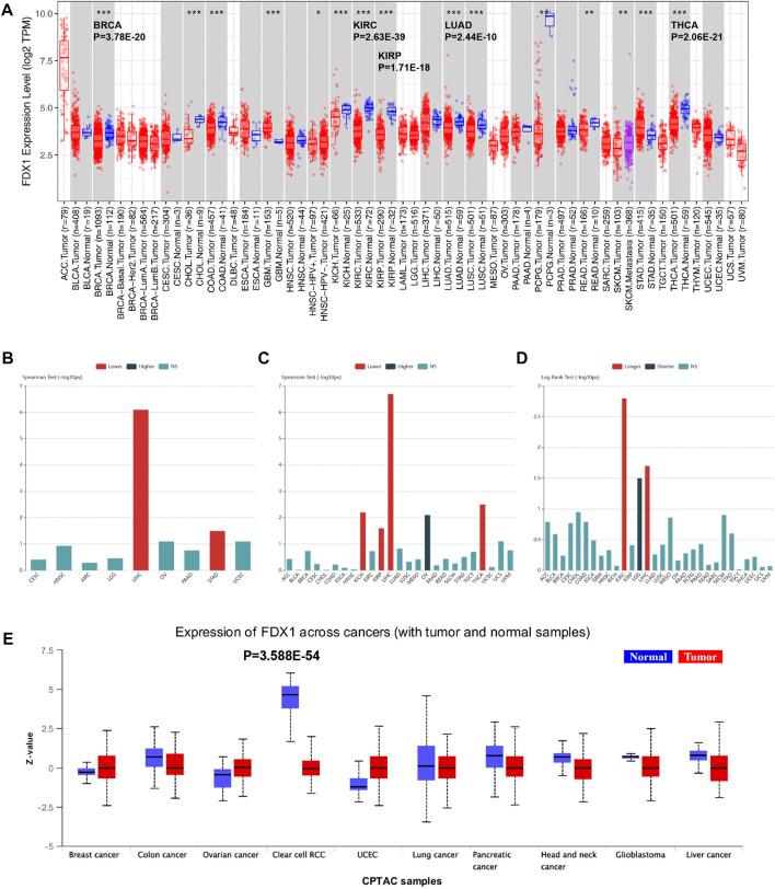 https://cdn.ncbi.nlm.nih.gov/pmc/blobs/b66f/9523472/0d933295ea5d/fgene-13-994741-g001.jpg