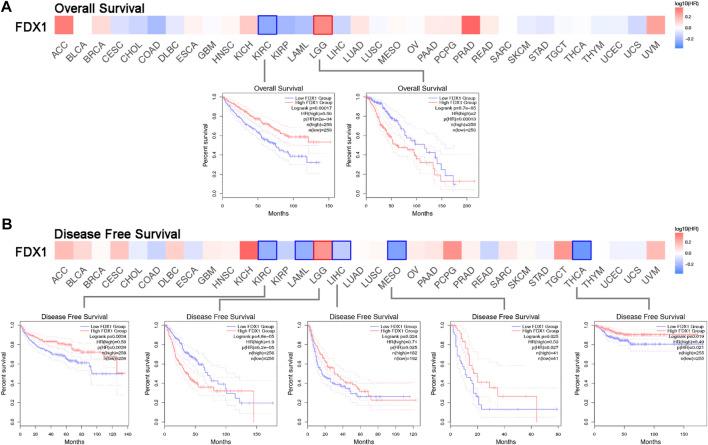https://cdn.ncbi.nlm.nih.gov/pmc/blobs/b66f/9523472/798c57e40383/fgene-13-994741-g002.jpg