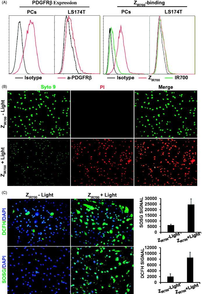 https://cdn.ncbi.nlm.nih.gov/pmc/blobs/b670/8240977/d1a432a08746/IDRD_A_1407011_F0004_C.jpg