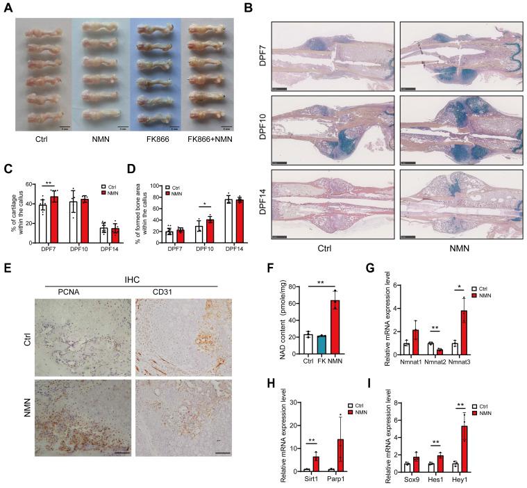 https://cdn.ncbi.nlm.nih.gov/pmc/blobs/b671/11426247/dec6beecc0c4/thnov14p5999g002.jpg